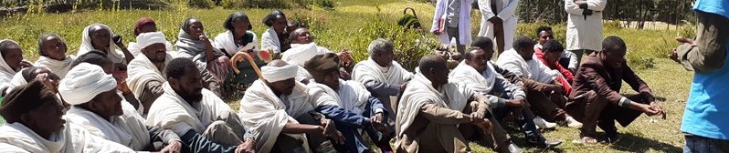 School Feeding Program