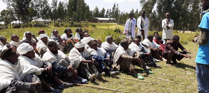 School Feeding Program Reaches 50,000 Students